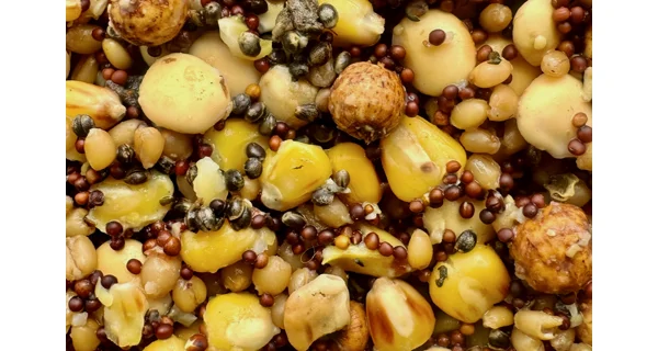 MIVARDI - Partikl Mix Premium 5 kg