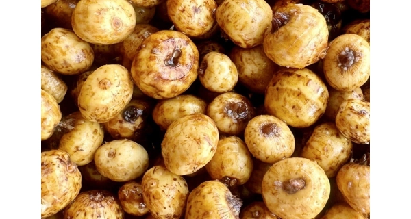 MIVARDI - Partikl Tygří ořech 2,5 kg