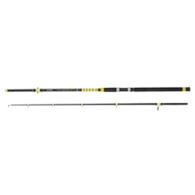 MIVARDI - Prut Fanatic Catfish 2,7 m 14,25 lb