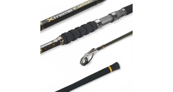 MIVARDI - Prut Xtreme Catfish 2,4 m 250-600 g