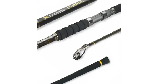 MIVARDI - Prut Xtreme Catfish 2,7 m 250-600 g