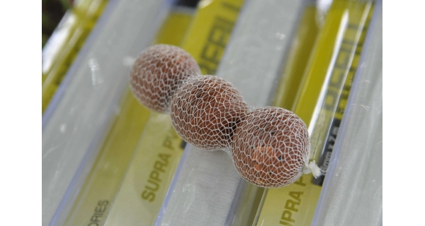 MIVARDI - Pva supramesh v Návinu (22 mm X 7 m)