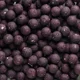 MIVARDI - Rapid Boilies Excellent Královská švestka 24 mm 3,3 kg