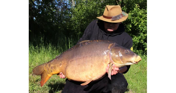 MIVARDI - Rapid boilies platinum - b17 (3300 g - 20 mm )