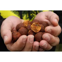 MIVARDI - Rapid Boostered Boilies B17 20 mm 250 ml