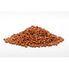 MIVARDI - Rapid pelety Extreme 1 kg 4 mm Spiced Protein