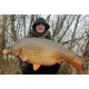 MIVARDI - Rapid Pop Up Reflex - Monster Crab (70 g - 18 mm)