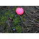 MIVARDI - Rapid Pop Up Reflex - Monster Crab (70 g - 18 mm)