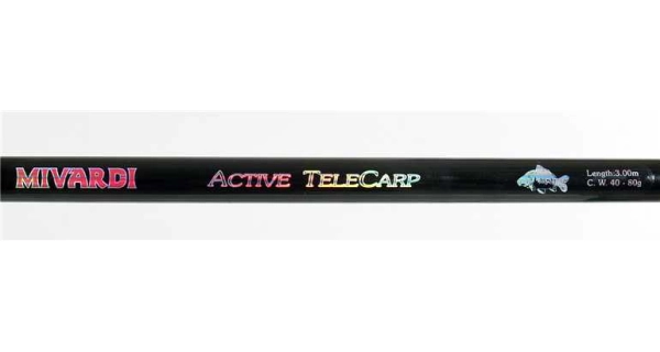 MIVARDI - Teleskopický prut Active Telecarp 3 m 40–80 g