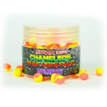 MOTABA CARP - Wafters Chameleon Fluo 10 mm 30 g Moruše