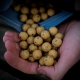 MUNCH BAITS - Boilies Cream Seed 14mm 5kg