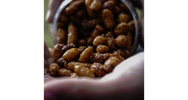 MUNCH BAITS - Partikl Jumbos in Cola 450ml