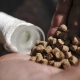 MUNCH BAITS - Pelety Cream Seed 4mm 1kg