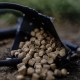 MUNCH BAITS - Pelety Cream Seed 4mm 5kg