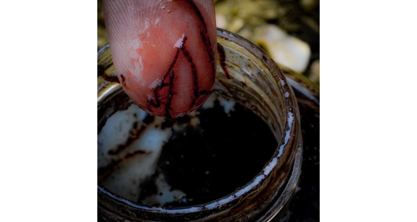 MUNCH BAITS - Tekutá potrava Bloodworm Complex 500ml