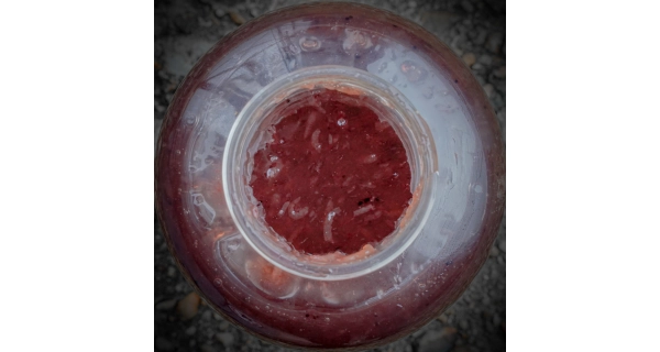 MUNCH BAITS - Tekutá potrava Raw Krill 500ml
