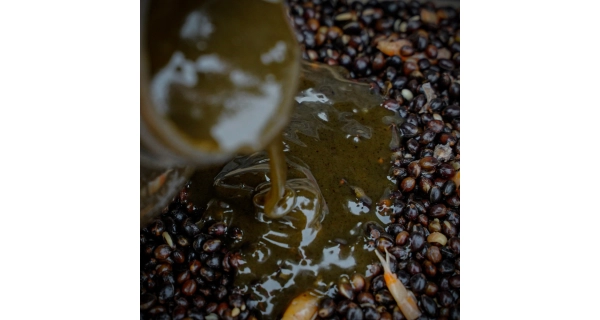 MUNCH BAITS - Tekutá potrava Soluble Hemp 500ml