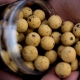 MUNCH BAITS - Wafters boilies Cream Seed 14mm 200ml