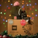 NASH - 100 € Vánoční Christmas Mystery Box