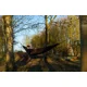 NASH - Hamaka Bank Life Hammock