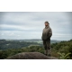 NASH - Mikina Zero Tolerance Wind Chill Hoody Two Tone Element vel. M