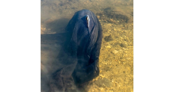 NASH - Náhradní síťka Air Force Landing Net Mesh 46