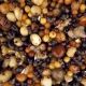 NASH - Partikl Small Seed Mix 500 ml