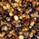 NASH - Směs partiklů Small Seed Mix 500 ml