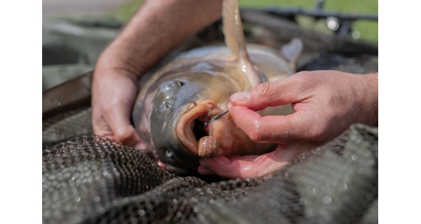 POLE POSITION - Rovnátko Tungsten Line Aligner Medium