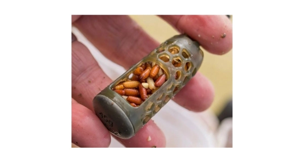 PRESTON - Krmítko Absolute Window Feeder Caged Small 30 g