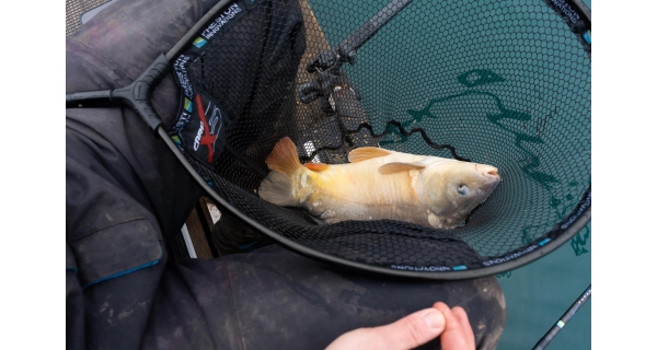 PRESTON - Podběráková hlava Carp XS Landing Net 18'' 45 cm