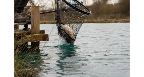 PRESTON - Podběráková hlava Carp XS Landing Net 18'' 45 cm