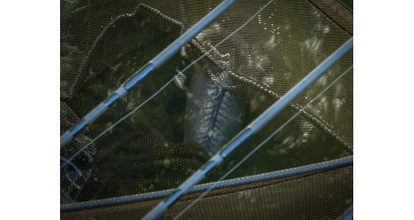 PROLOGIC - Podběrák C3 Fulcrum Ridgid Framed Landing Net 42