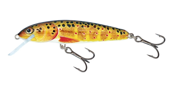 SALMO - Minnow floating - 5 cm trout