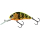 SALMO - Wobler Hornet floating - 4 cm gold fluo perch