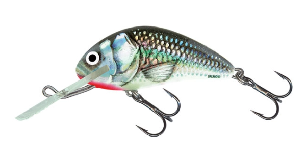 SALMO - Wobler Hornet sinking - 4 cm green tiger