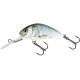 SALMO - Wobler Hornet sinking - 4 cm green tiger