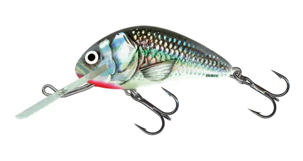 SALMO - Wobler Hornet Sinking Holographic Grey Shiner 4 cm