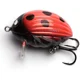 SALMO - wobler Lil Bug Floating 3 cm Ladybird
