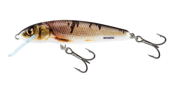 SALMO - Wobler Minnow Sinking 7 cm Wounded Dace