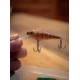SALMO - Wobler Rattlin Executors SDR Clear 5 cm 5,5 g Brown Perch