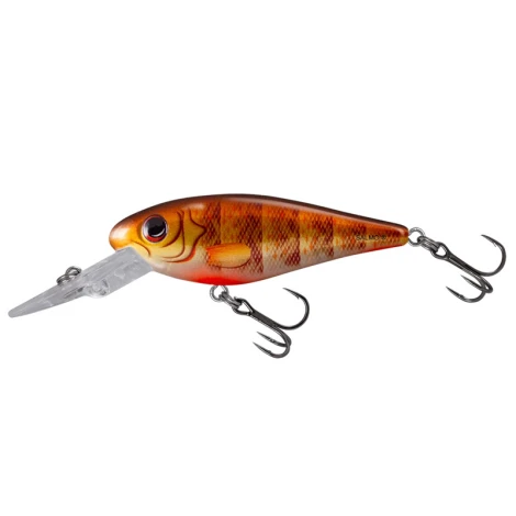 SALMO - Wobler Rattlin Executors SDR Clear 7 cm 8 g Brown Perch