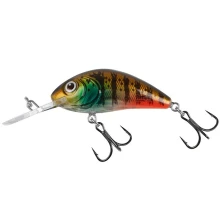 SALMO - Wobler Rattlin Hornet Clear Floating Hot Gill 5,5 cm