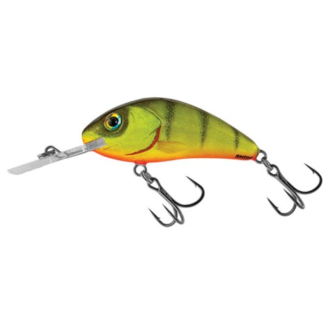 SALMO - Wobler Rattlin Hornet Floating Hot Perch 5,5 cm