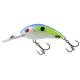 SALMO - Wobler Rattlin Hornet Floating Sexy Shad 5,5 cm