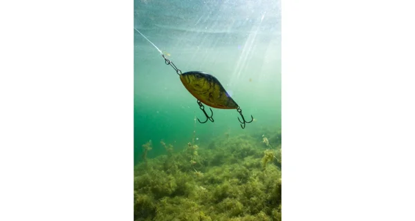 SALMO - Wobler Slider Sinking 12 cm 77 g Holo Tiger