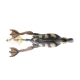 SAVAGE GEAR - Imitace kachna 3D Hollow Body Duckling A.K.A the Fruck Natural 7,5 cm 15 g