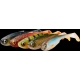 SAVAGE GEAR - Nástraha Craft Shad 10 cm 6 g Clear Water Mix 5 ks