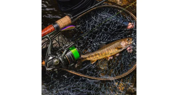 SHIMANO - Naviják Cardiff XR C2000S HG