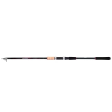 SHIMANO - Prut Sienna TEGT Glued 3,6 m 40-80 g 6 dílů